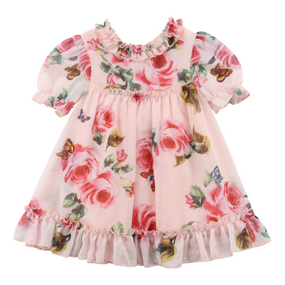 3D Floral Full Print Design Puff Sleeves Baby Princess Dress